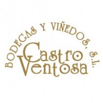 Castro Ventosa
